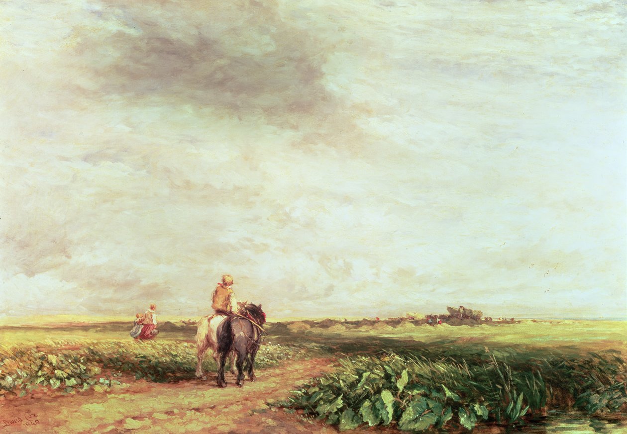Landscape by David Cox