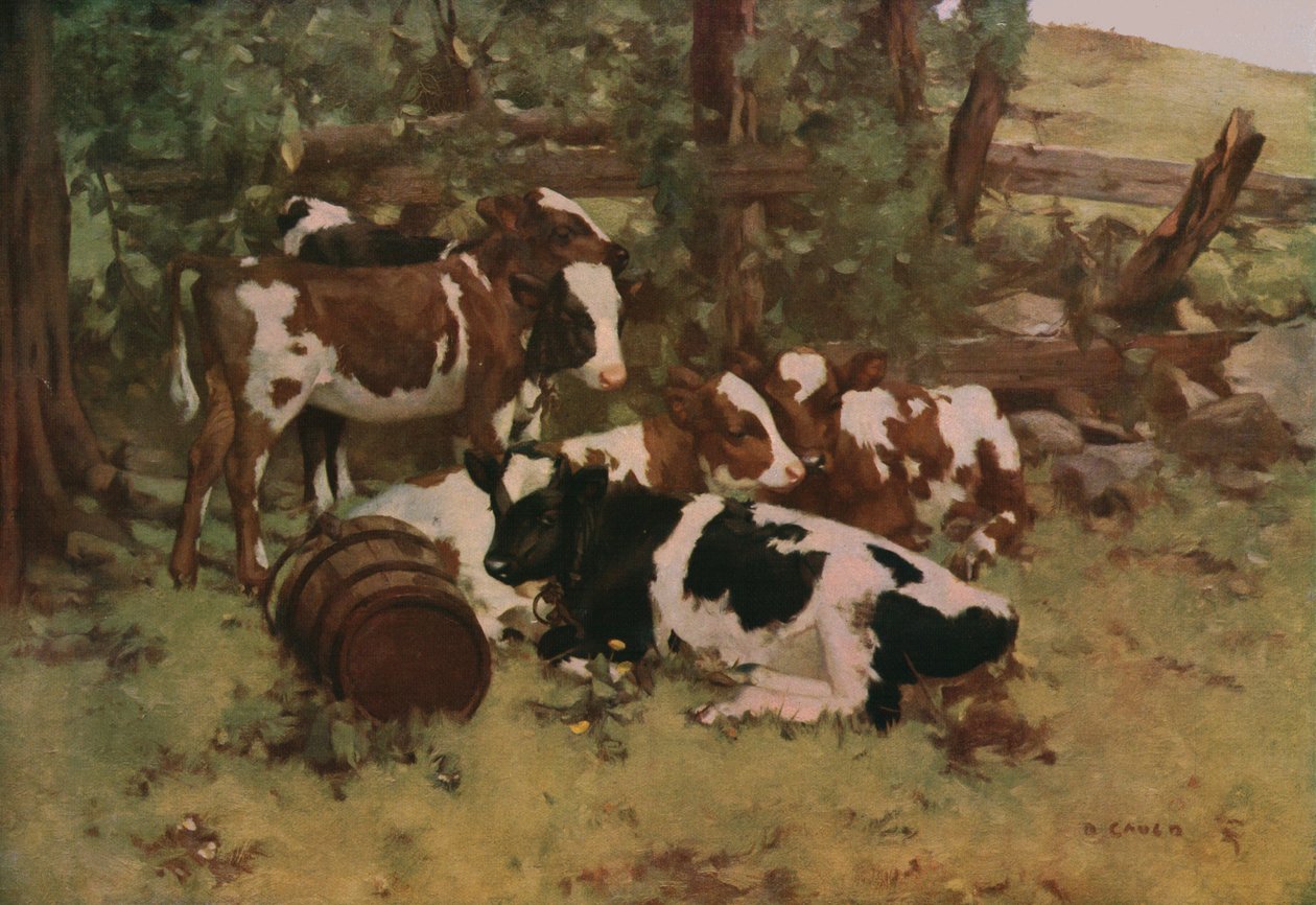 Contentment, c1903 by David Gauld