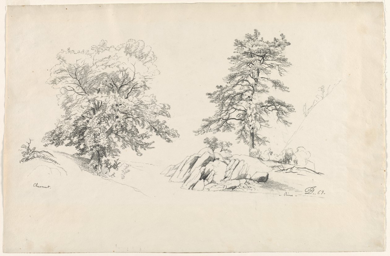Chestnut and Pine by David Johnson