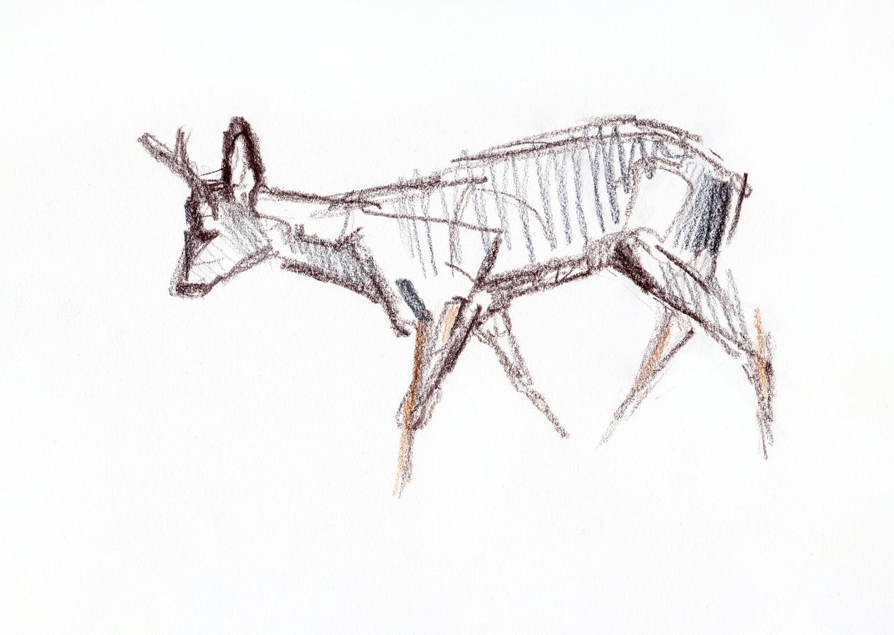RoeBuck by David Mayer