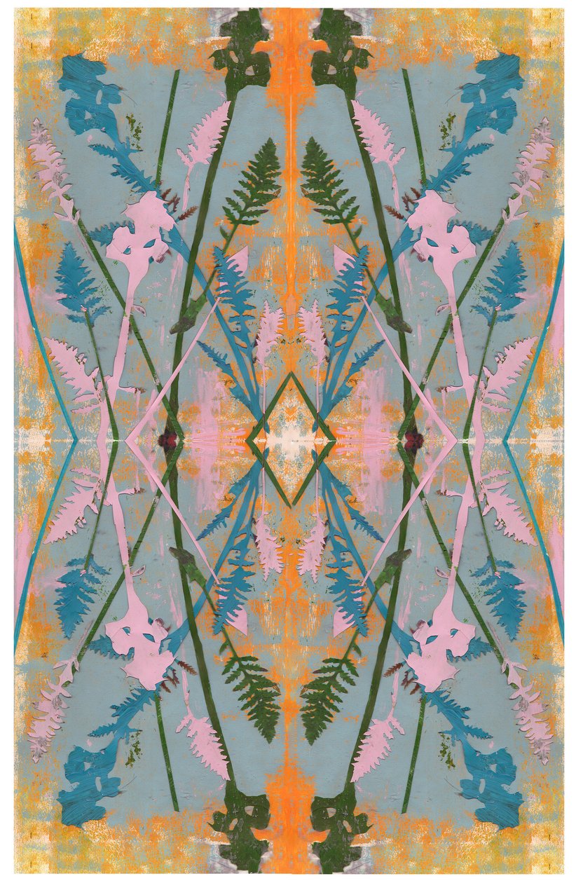 Botanical Collage #2 by David McConochie