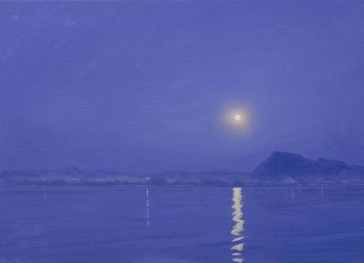 Moonlight over Udaipur by Derek Hare