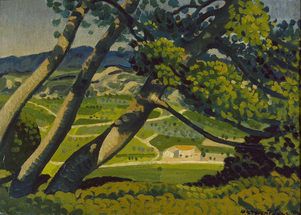 Trees, Provence by Derwent Lees