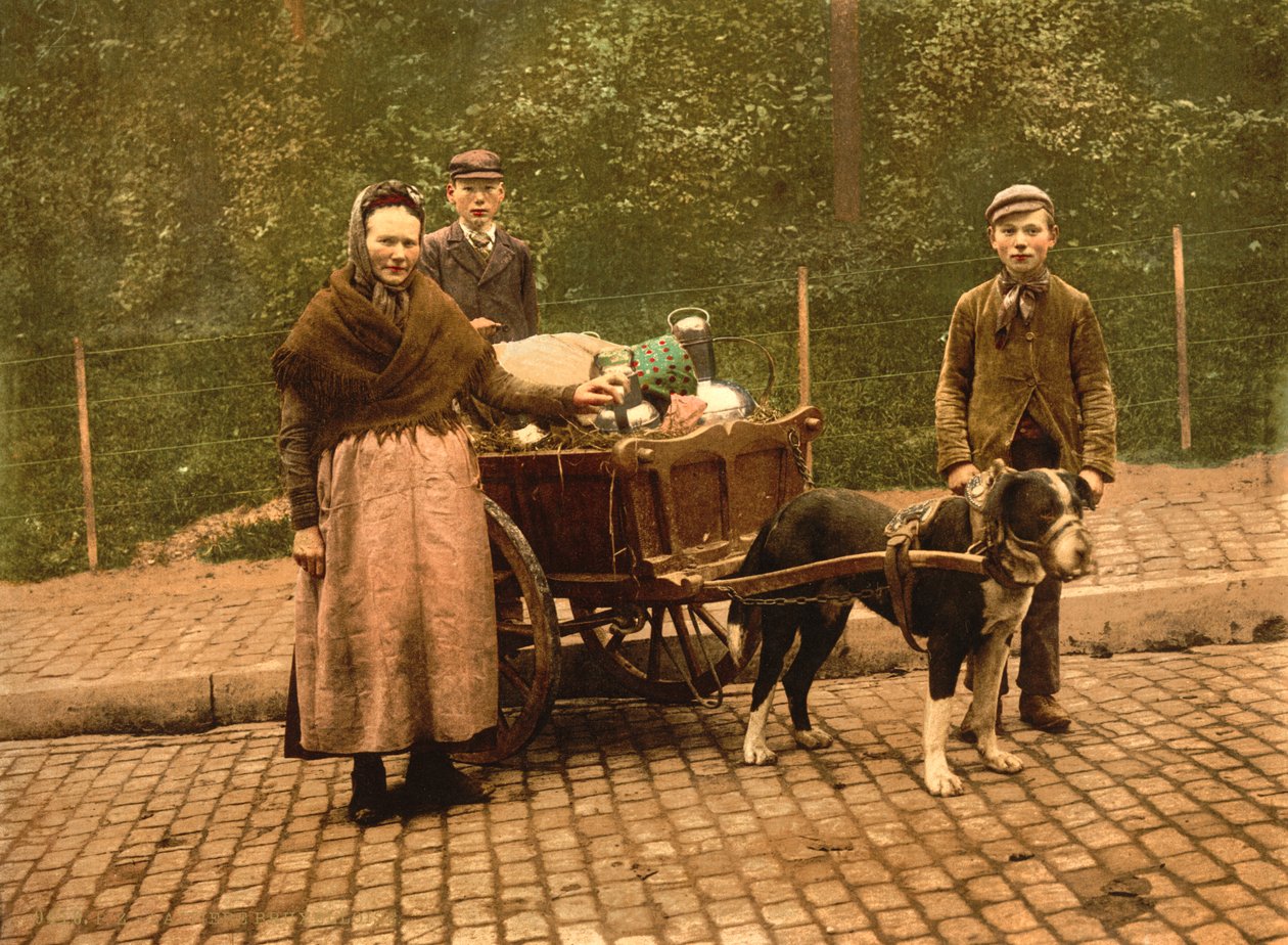 Milk Sellers, Brussels, Belgium by Detroit Publishing Co.