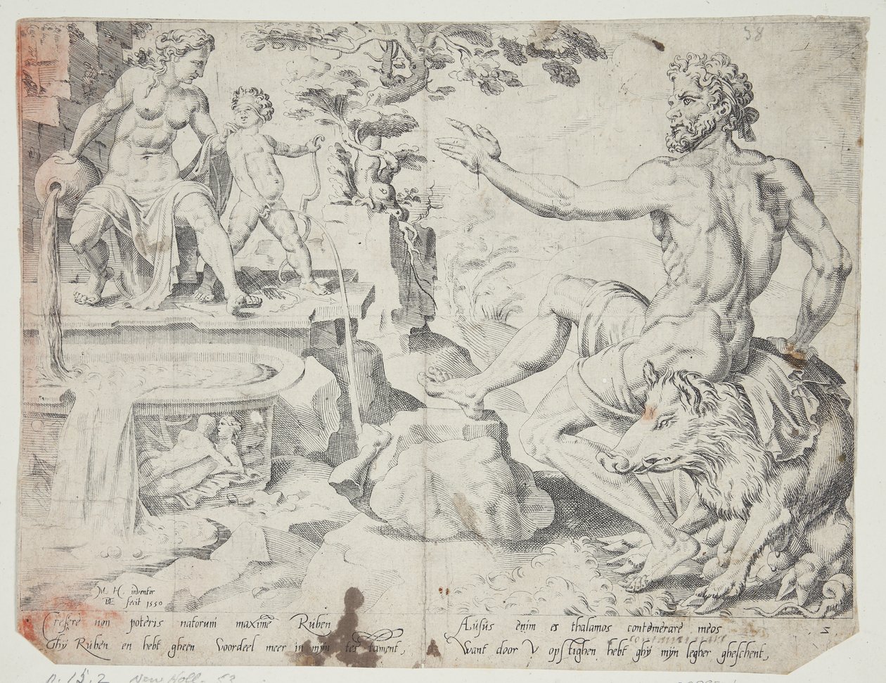 Reuben by Dirck Volckertsz. Coornhert