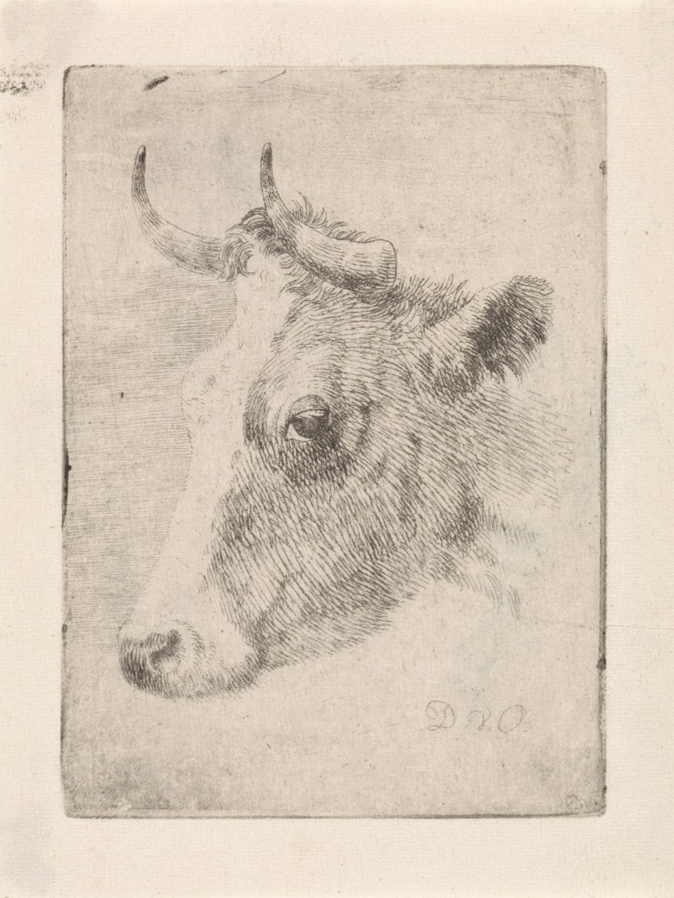 Head of a Bull by Dirk van Oosterhoudt