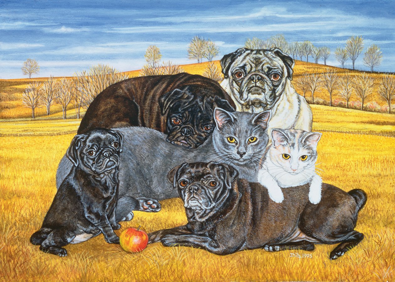 Hocking County Pug-Cats by Ditz