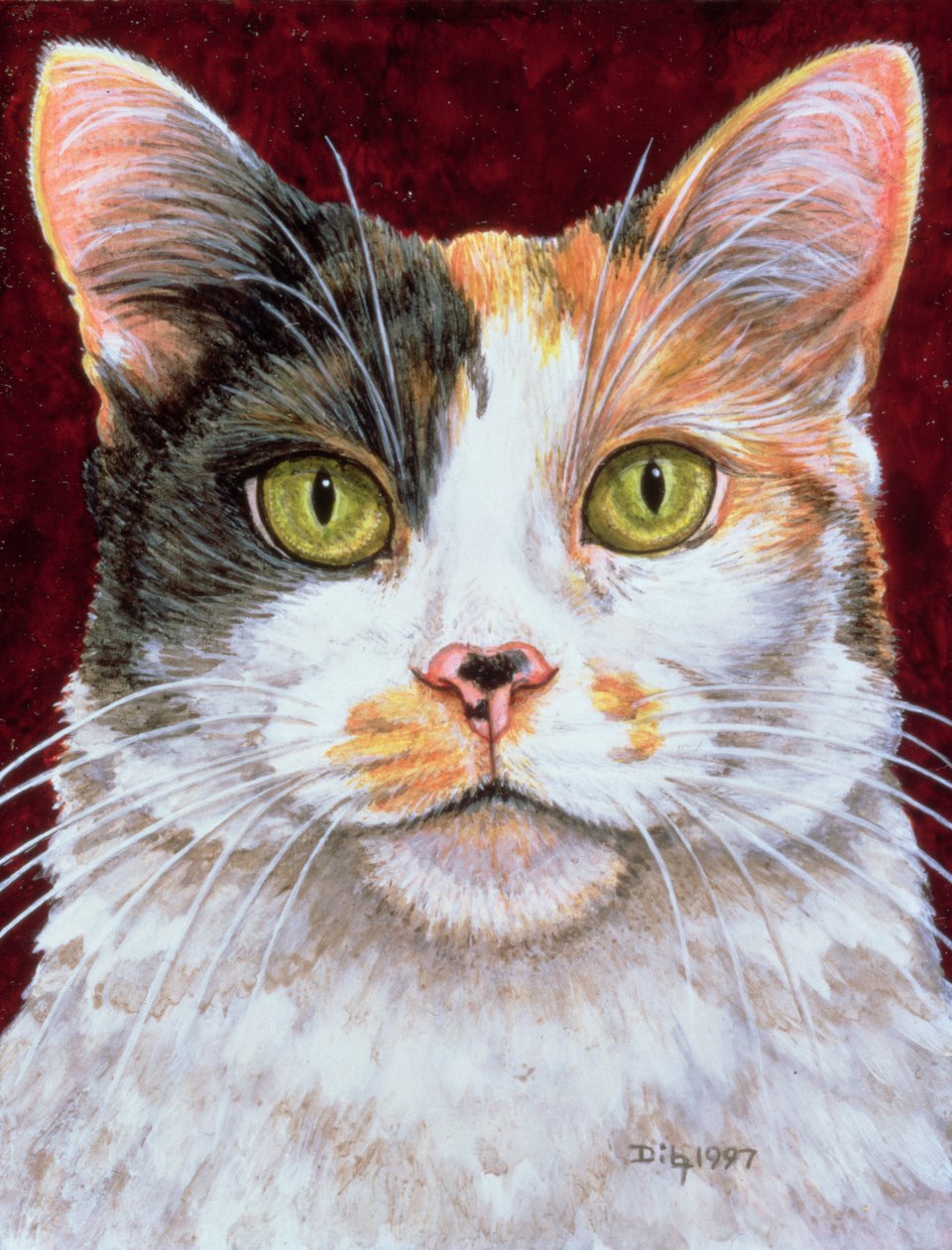 Marigold by Ditz