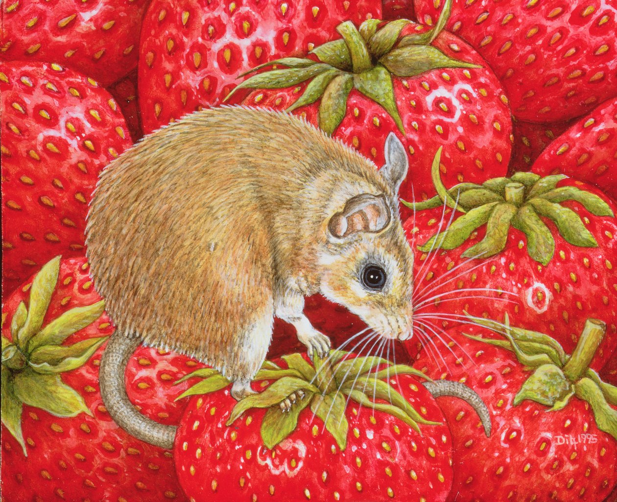 Strawberry-Mouse by Ditz