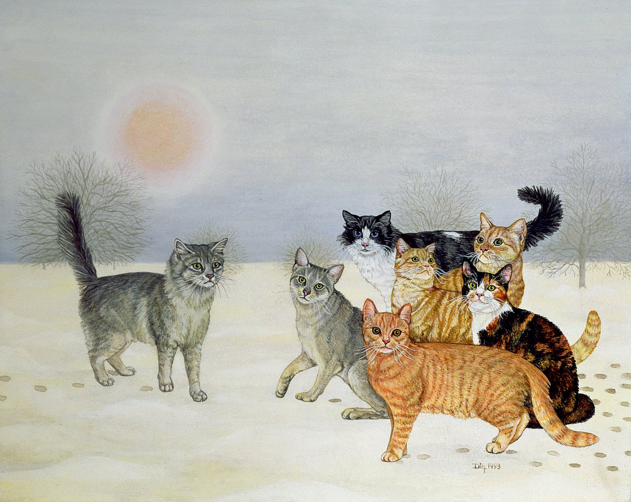 Winter Cats by Ditz