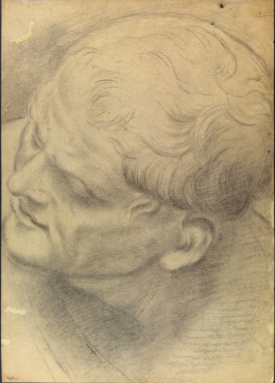 Sketch of a Male Head Seen from Above by Domenico Maria Canuti