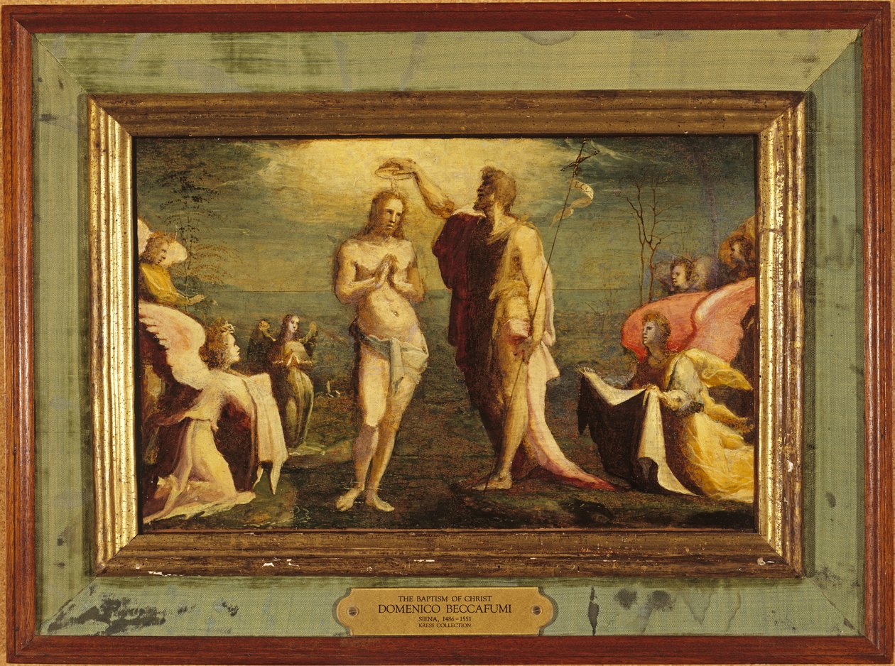 The Baptism of Christ by Domenico Beccafumi