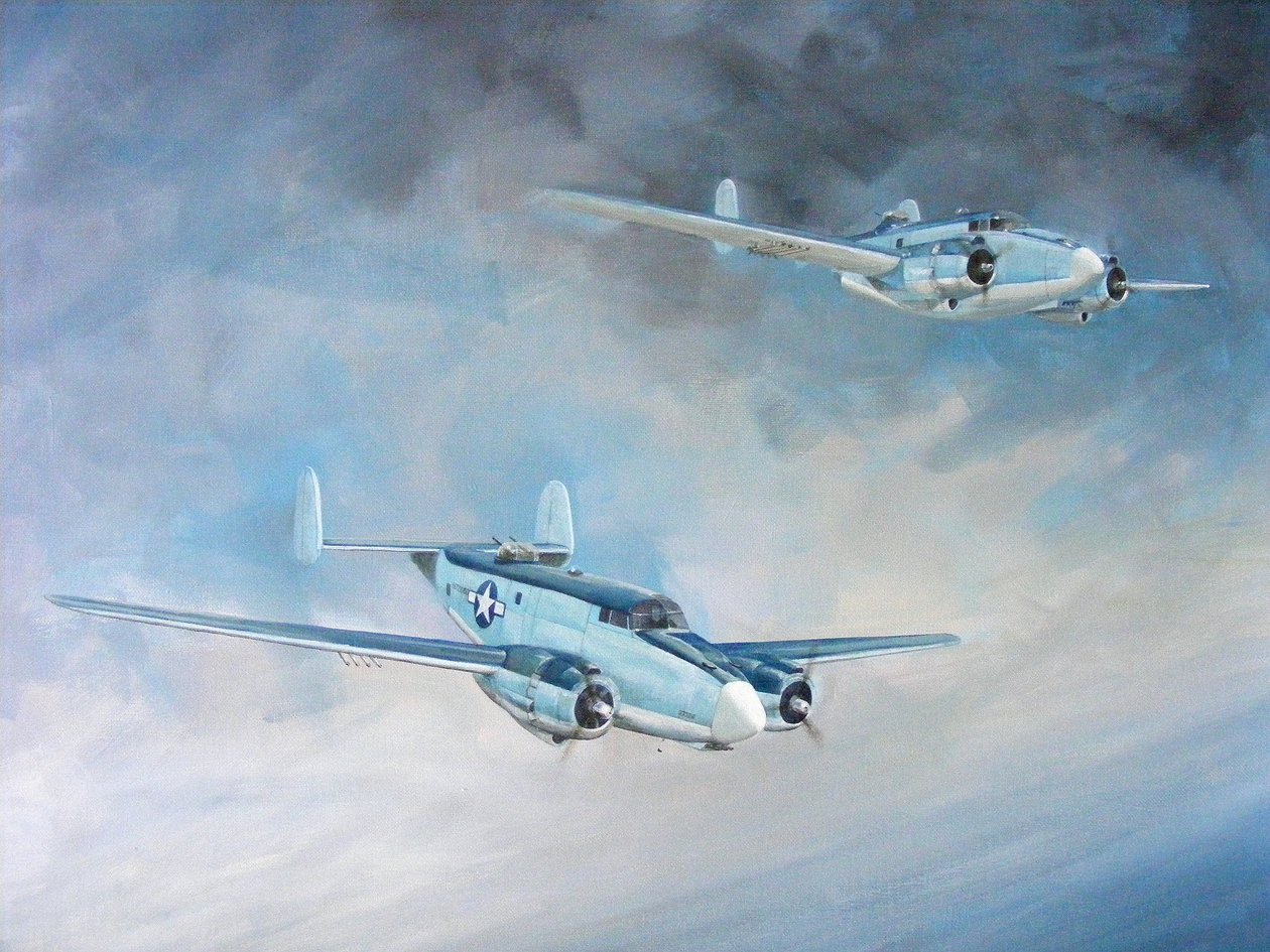 Harpoon Pair by Dominic Berry