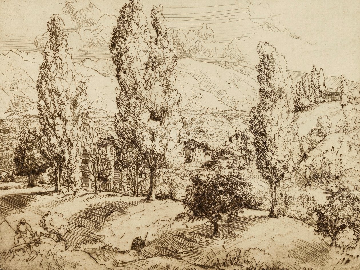 Fields of Asolo by Donald Shaw MacLaughlan