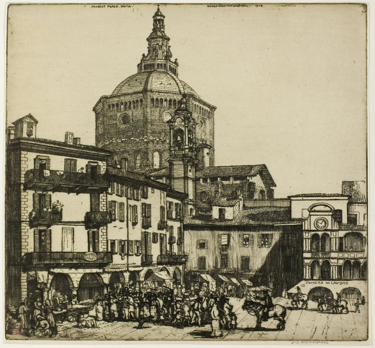 Pavia by Donald Shaw MacLaughlan