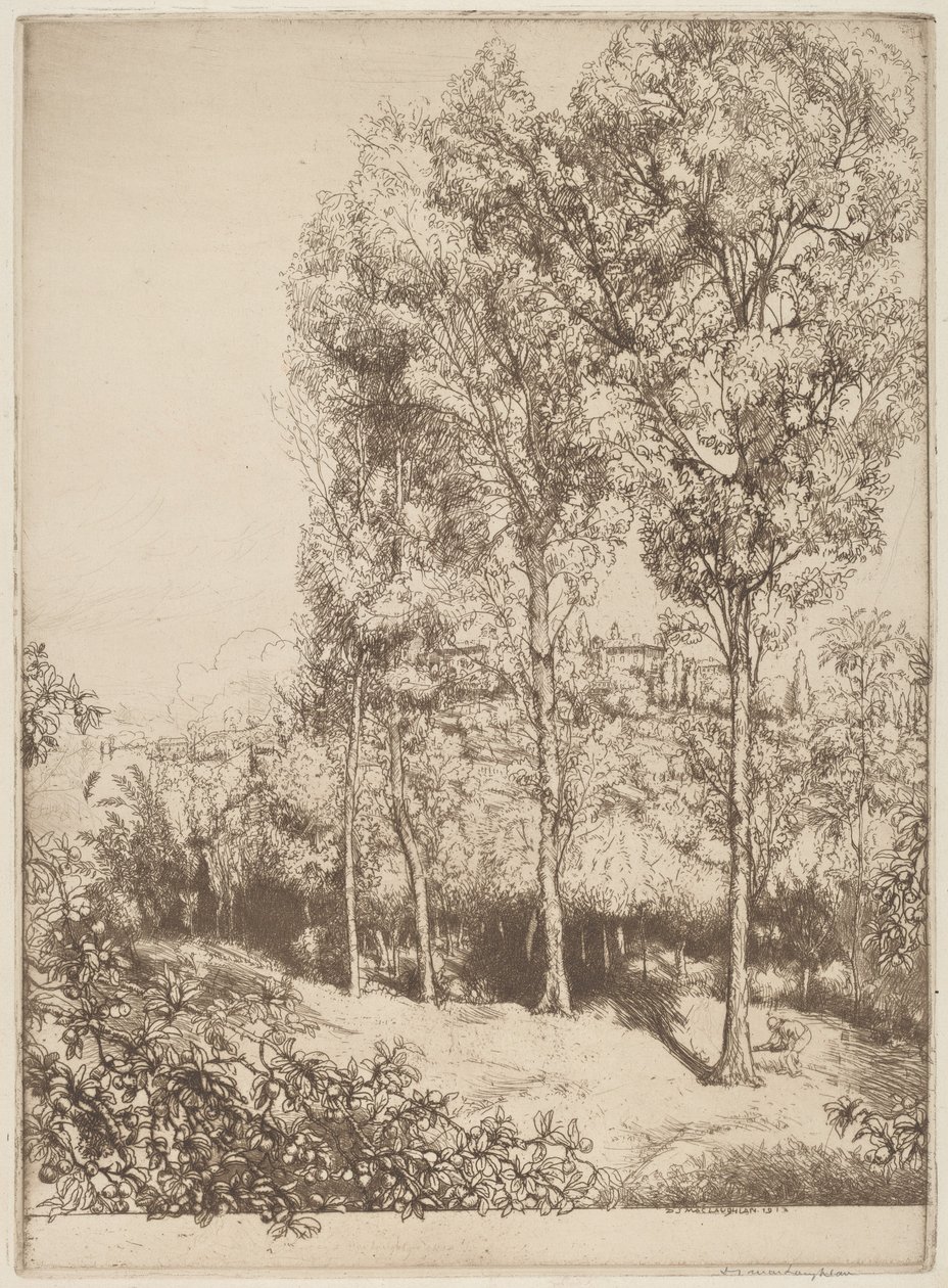 Sunlight and Shadows, No. 3 by Donald Shaw MacLaughlan