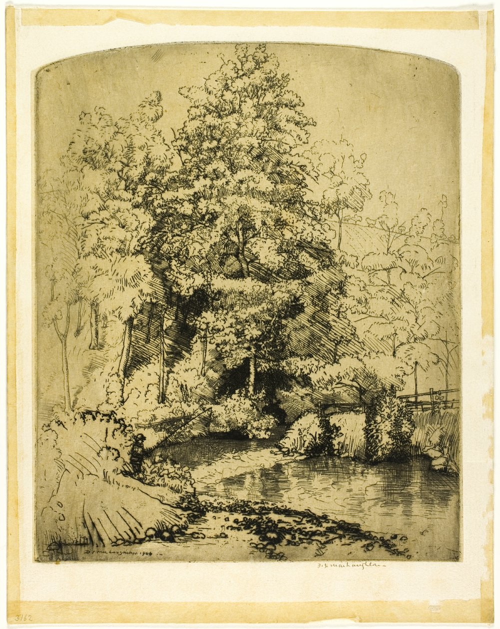 The Trout Stream by Donald Shaw MacLaughlan