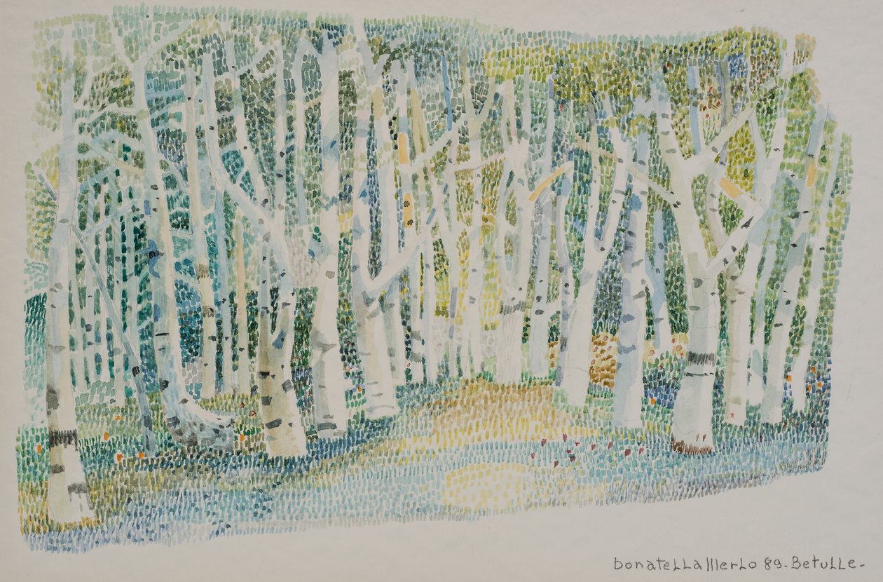 Birch forest by Donatella Merlo