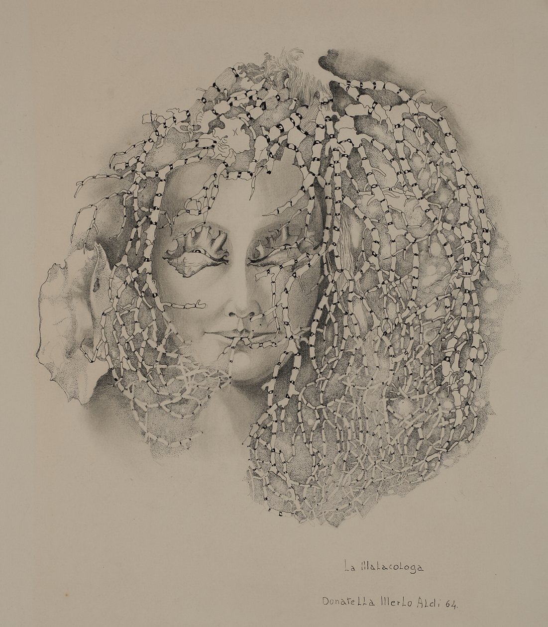 The Malacology by Donatella Merlo