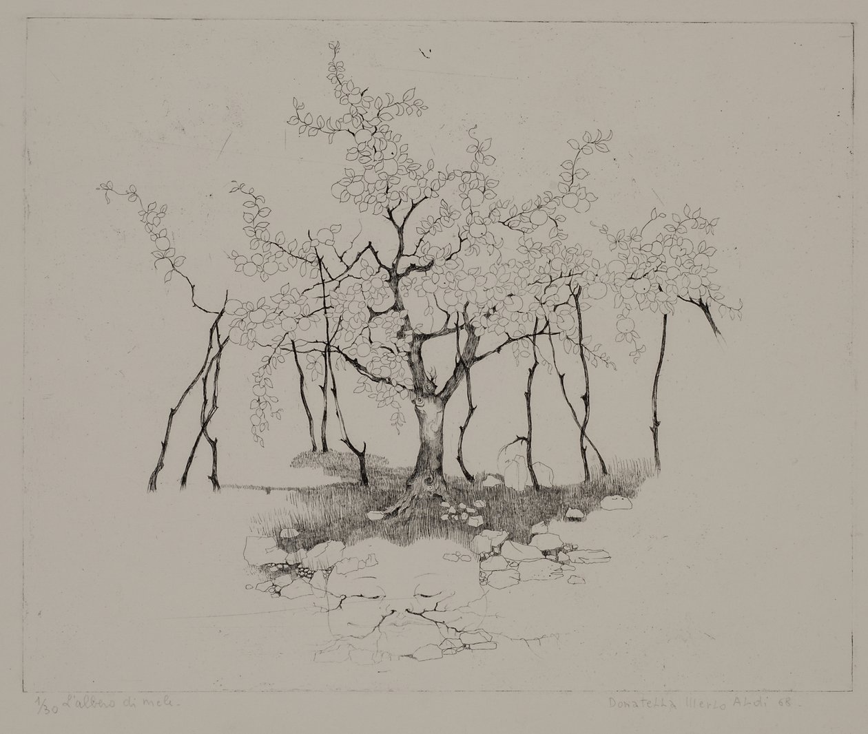 The Apple Tree by Donatella Merlo