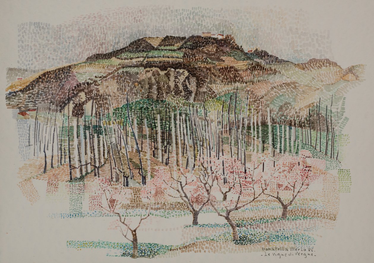The vineyard of Vergne by Donatella Merlo