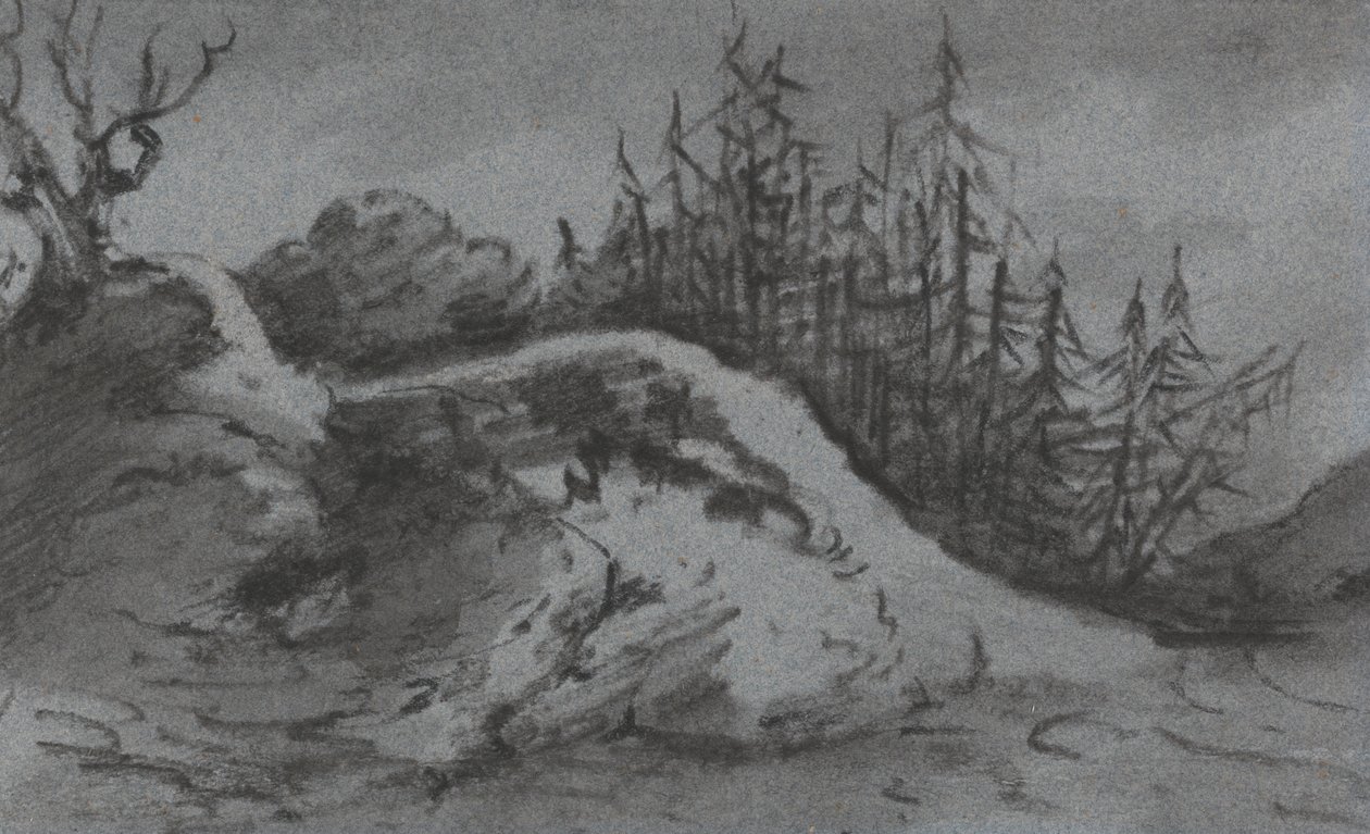 Composition of Rocks and Pine Trees by Dr. Thomas Monro