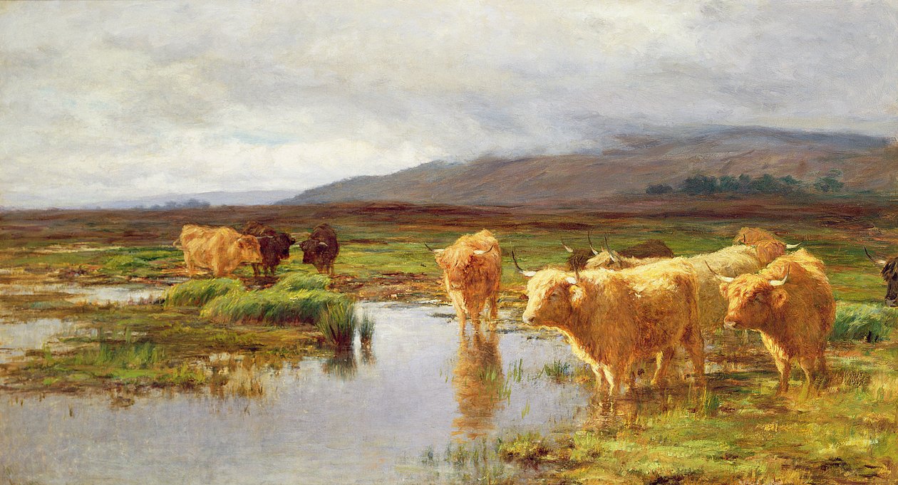 Moorlands and Mist by Duncan McLaurin