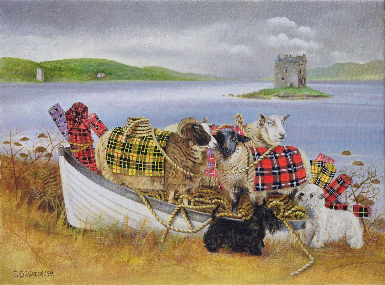 Sheep with Tartan, 1999 by E.B. Watts