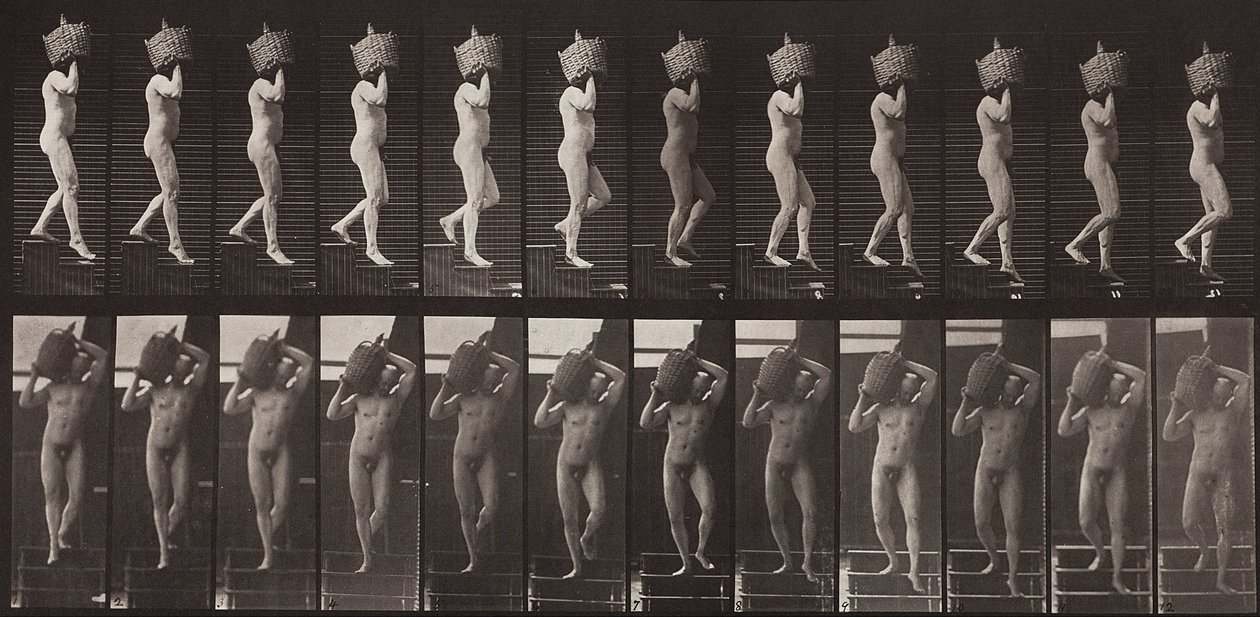 Animal Locomotion, Plate 136 by Eadweard Muybridge