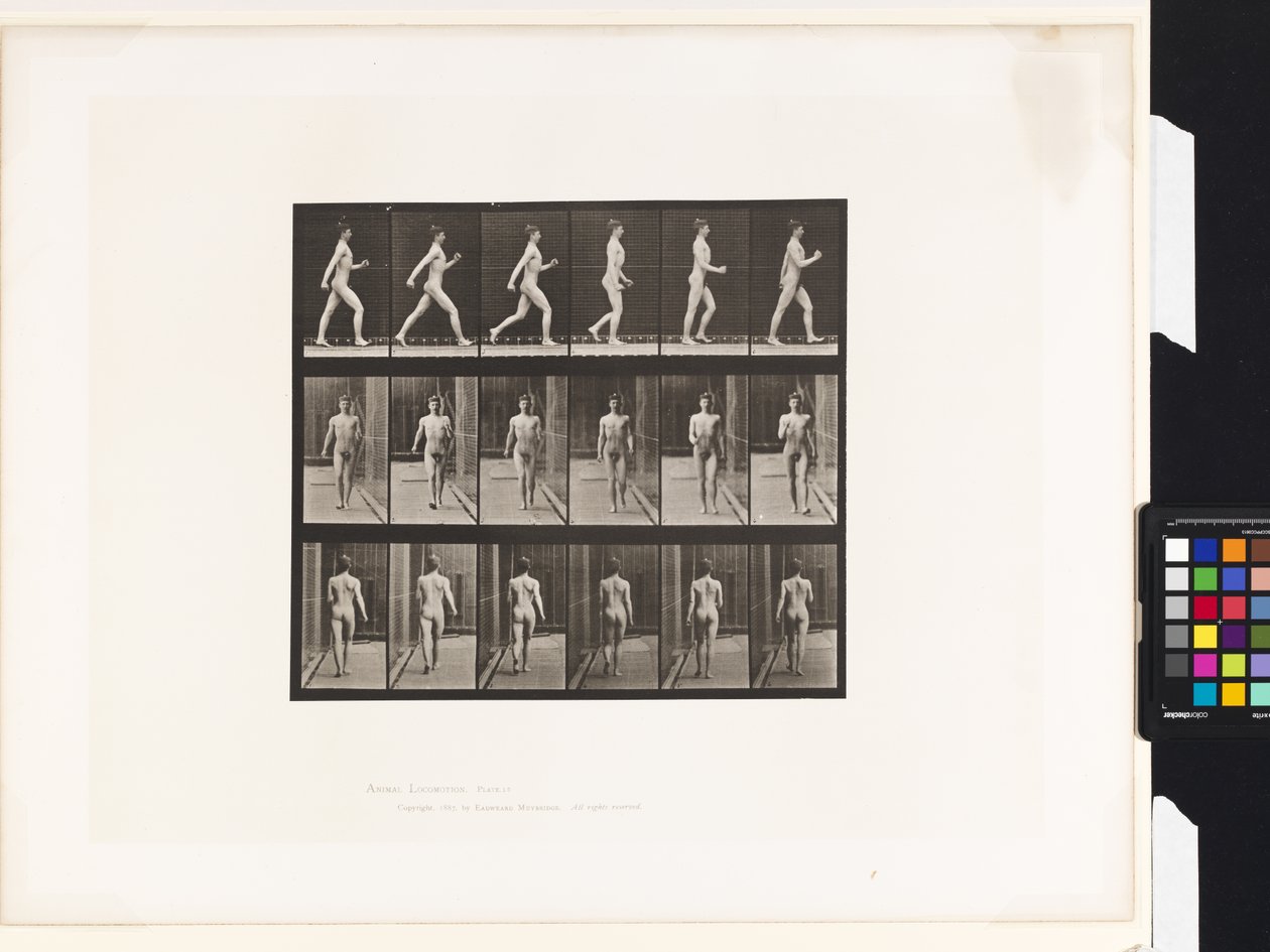 Plate 10. Walking by Eadweard Muybridge