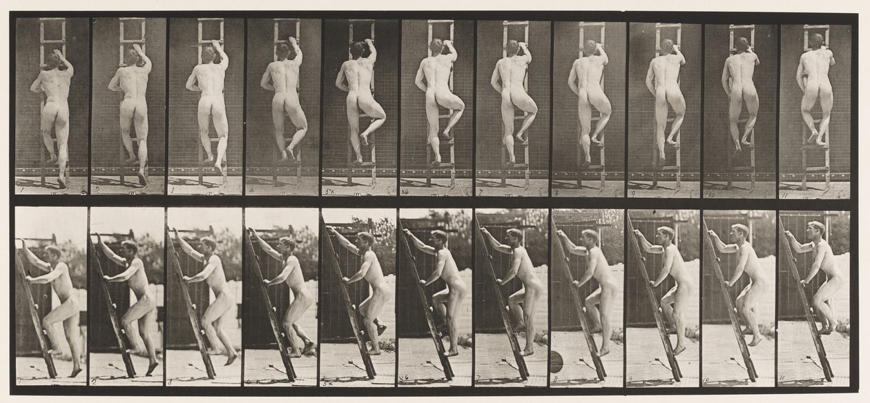 Plate 111. Ascending Ladder by Eadweard Muybridge