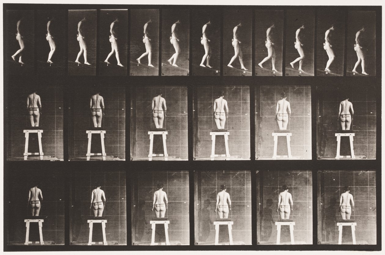 Plate 118. Descending Incline by Eadweard Muybridge