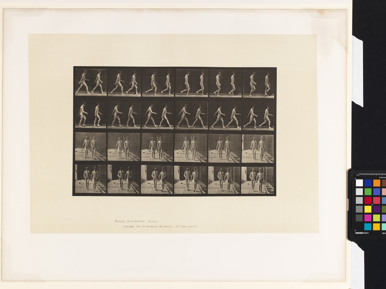 Plate 12. Walking by Eadweard Muybridge