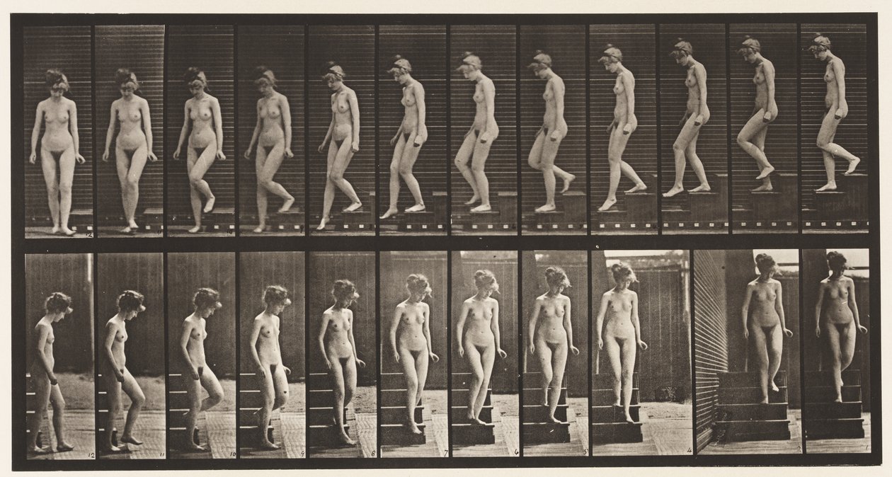 Descending Stairs, Turning Around by Eadweard Muybridge