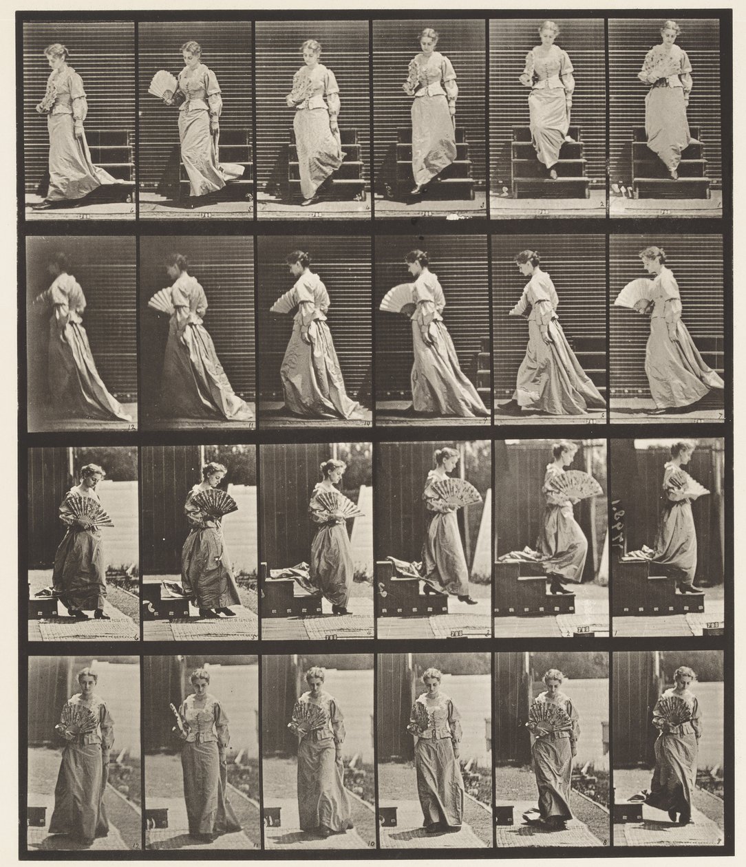 Descending Stairs and Flirting Fan (Plate 141) by Eadweard Muybridge