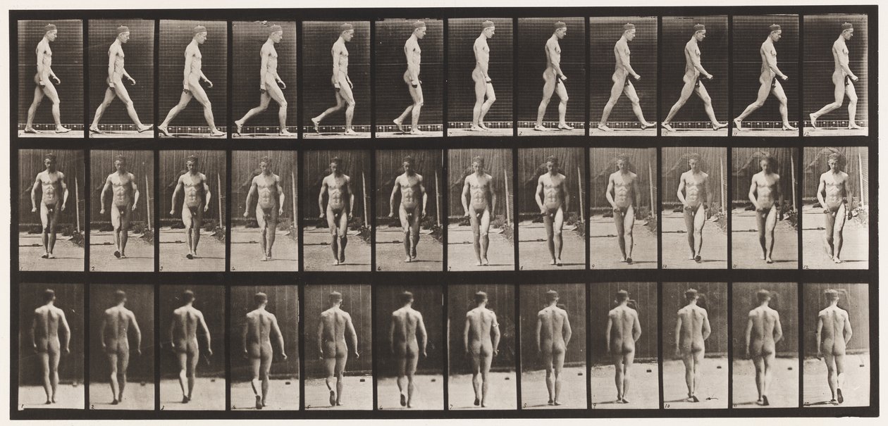 Plate 1. Walking by Eadweard Muybridge