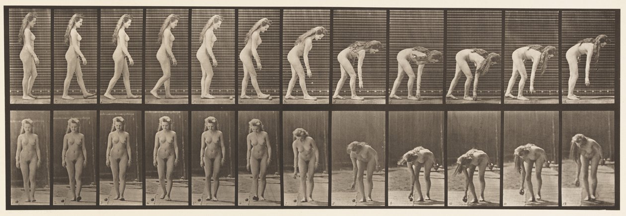 Stopping to Pick Up Ball by Eadweard Muybridge