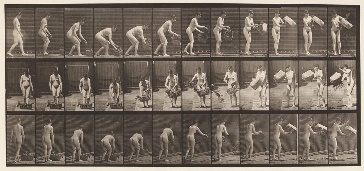 Plate 213. Lifting and Emptying Basket by Eadweard Muybridge
