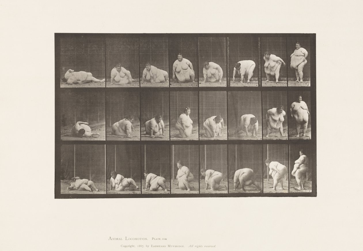Arising from the Ground by Eadweard Muybridge