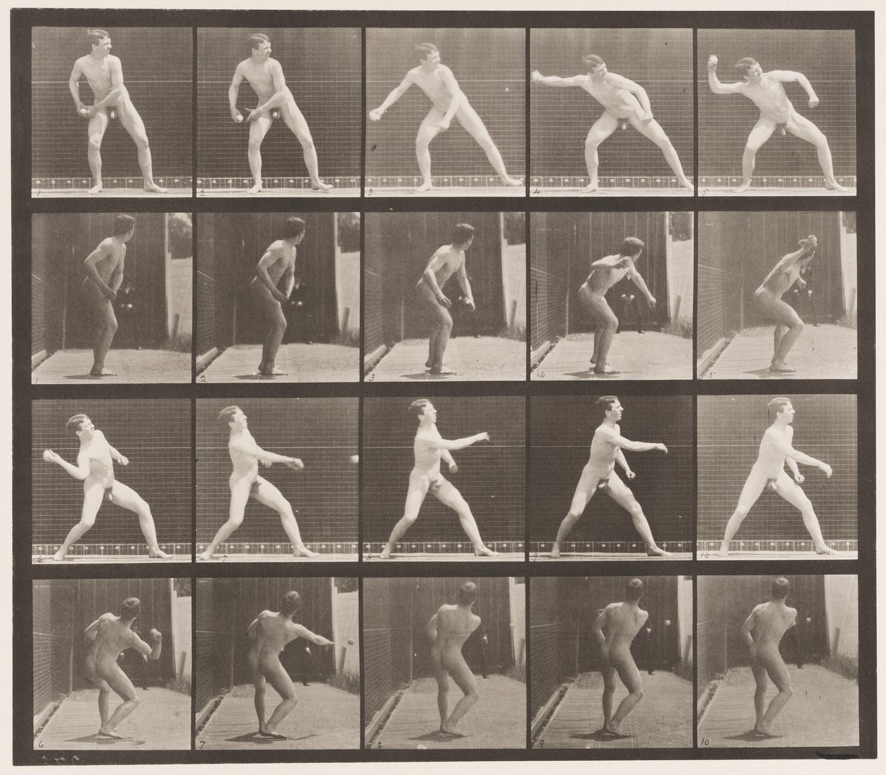 Plate 273. Baseball; Pitching by Eadweard Muybridge