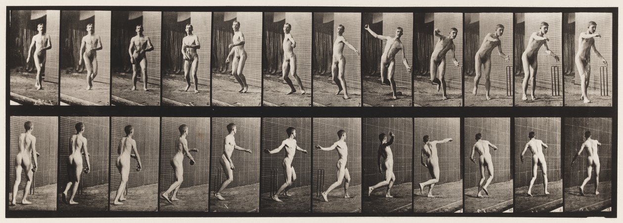 Cricket; Round Arm Bowling by Eadweard Muybridge