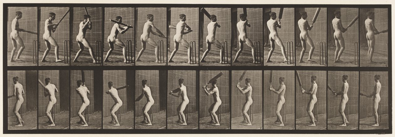 Plate 292. Cricket; Batting; Back Out by Eadweard Muybridge