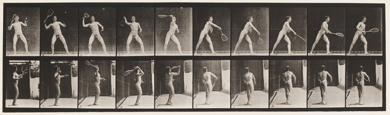 Plate 294. Lawn Tennis; Serving by Eadweard Muybridge
