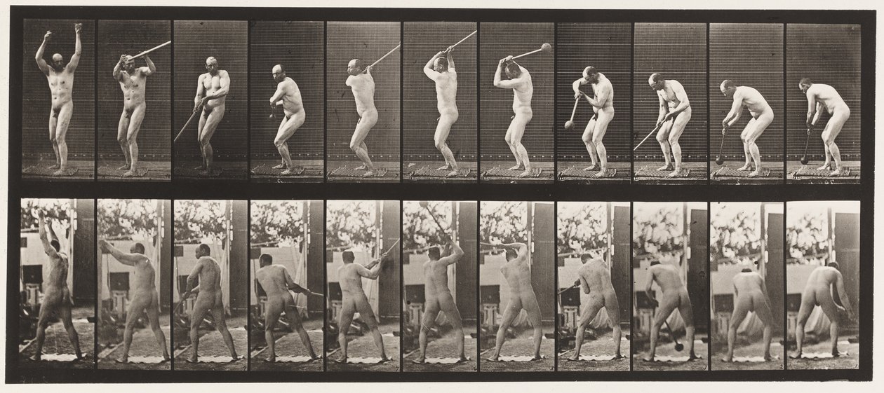 Plate 308. Throwing the Hammer by Eadweard Muybridge