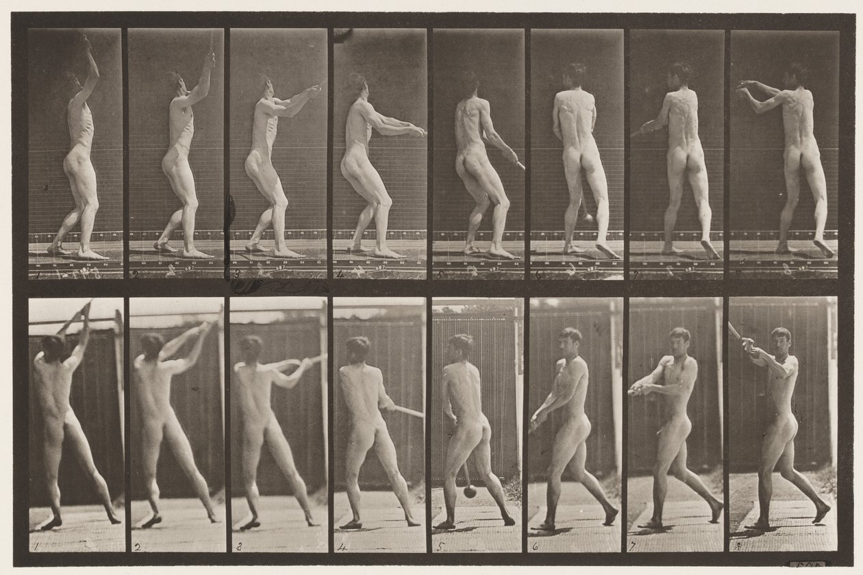 Plate 309. Throwing the Hammer by Eadweard Muybridge