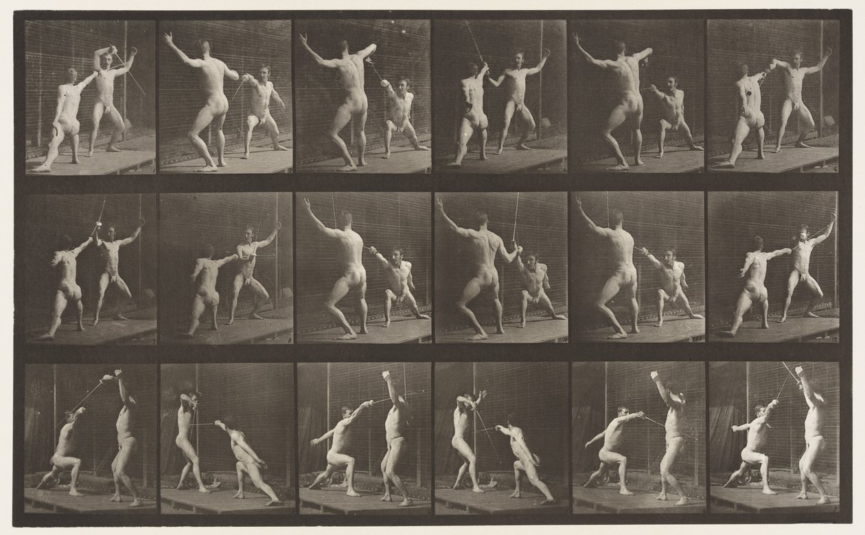 Plate 350. Fencing by Eadweard Muybridge
