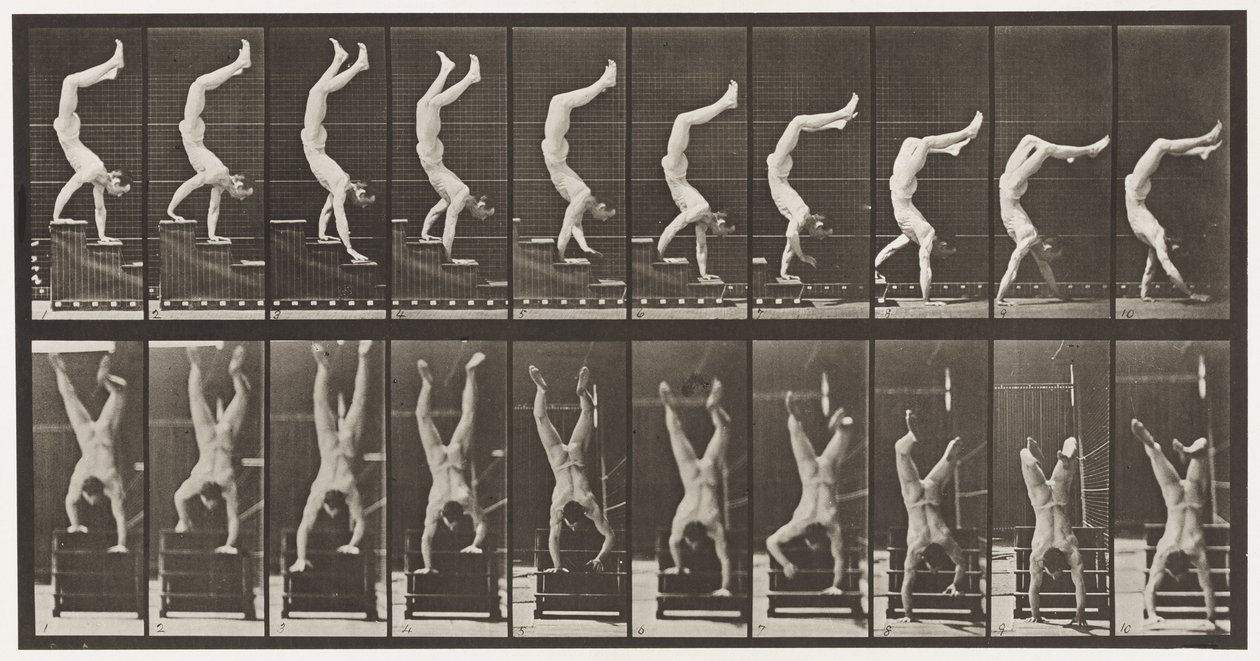 Acrobat, Descending Stairs on Hands by Eadweard Muybridge