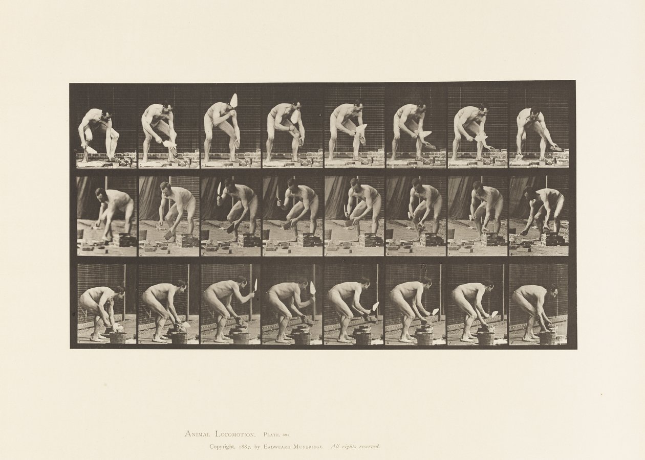 Plate 381. Mason, Laying a Brick by Eadweard Muybridge