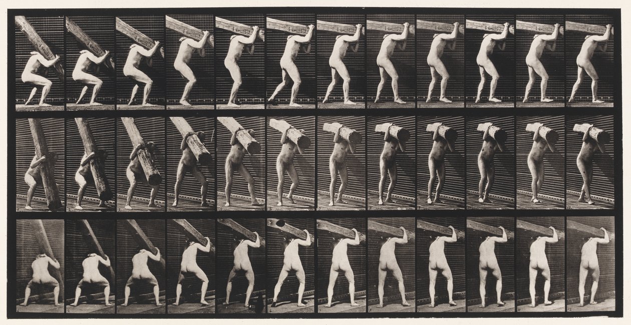Plate 383. Lifting A Log on Shoulder by Eadweard Muybridge