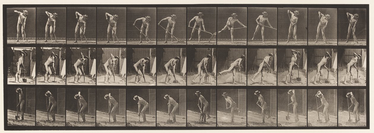 Plate 387. Farmer, Using a Long-Handled Shovel by Eadweard Muybridge